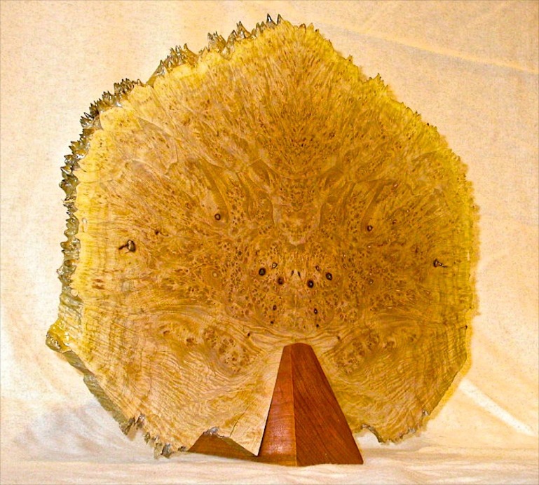 reflection panel in maple burl with cherry base.jpg